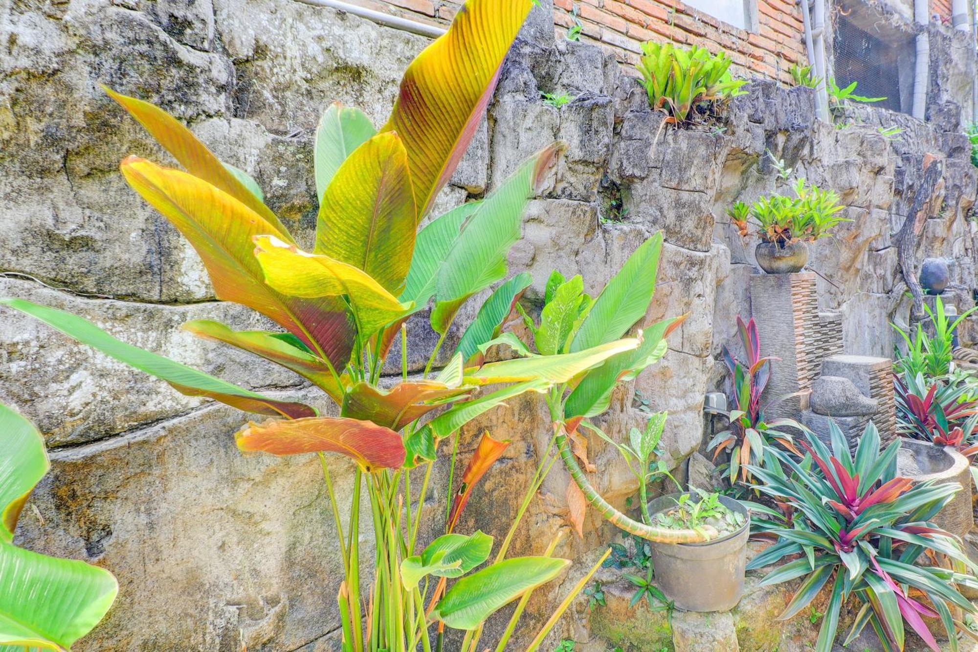 Hotel O Ubud Asri Homestay Near Monkey Forest Zewnętrze zdjęcie